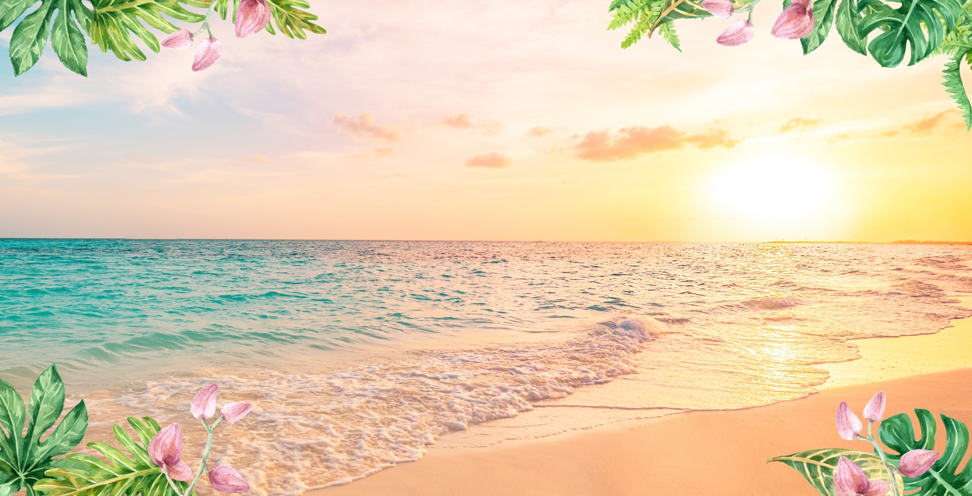 サン 3 -SUN-の背景画像